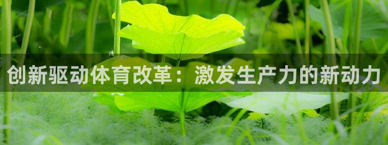 双赢平台登录