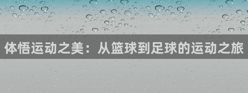 双赢平台体育合法嘛