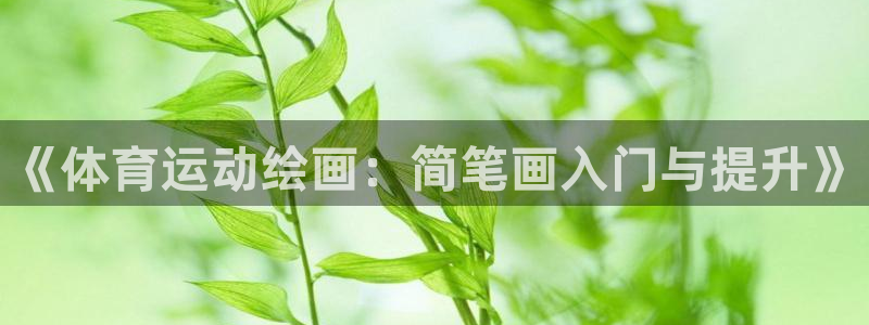 双赢平台体育官网