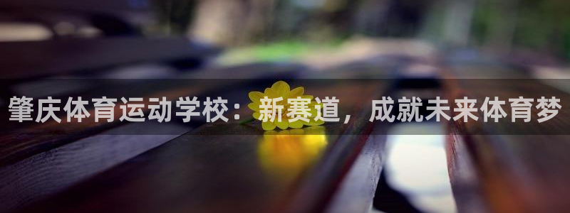 双赢平台体育合法嘛