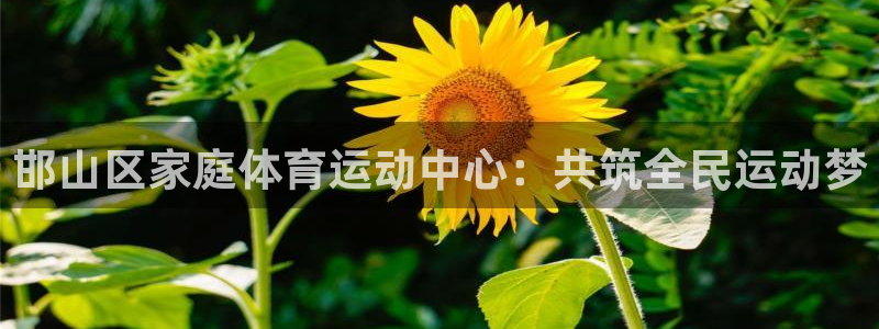 双赢平台登录入口