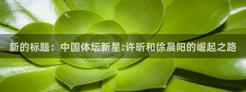 双赢平台平台登录