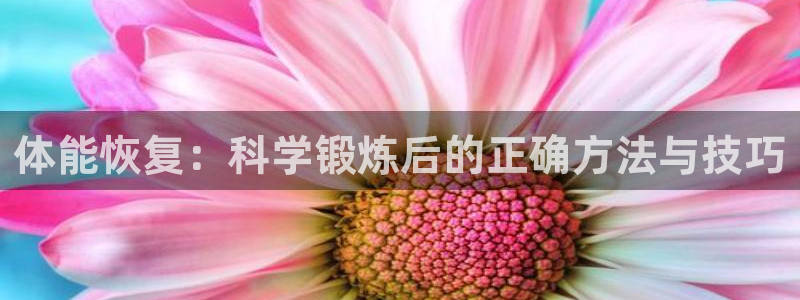 双赢平台3注册