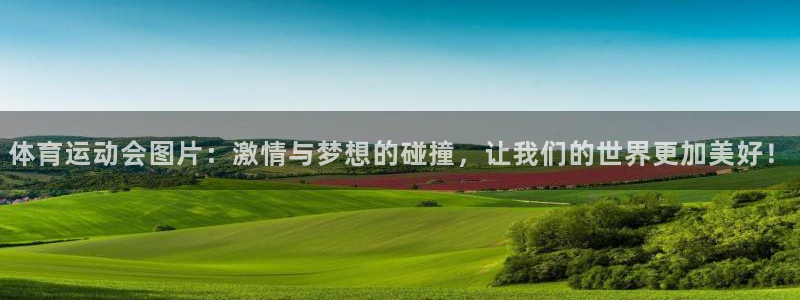双赢平台体育官网注册