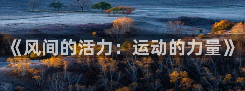 意昂平台招商