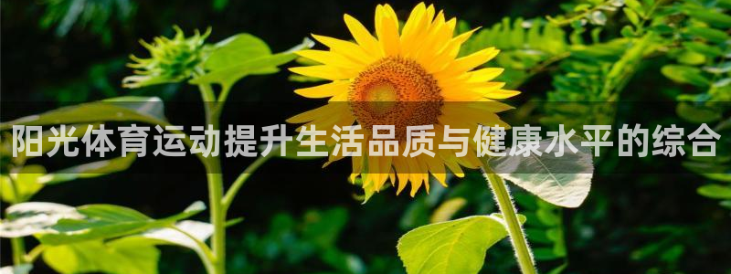 双赢平台
