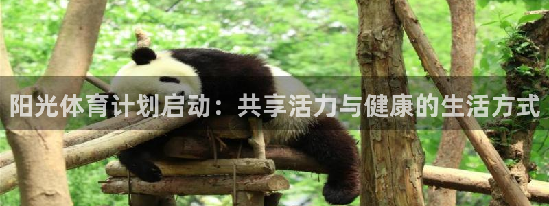 双赢平台体育3在线注册