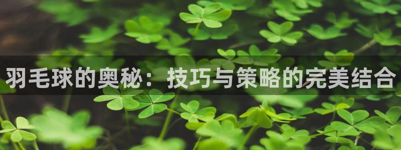 双赢平台集团总部