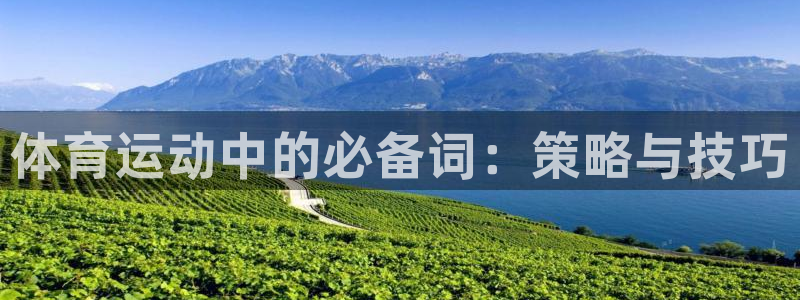 双赢平台体育4