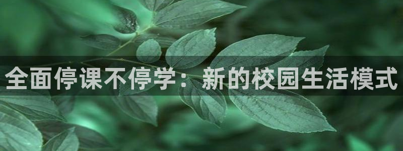 双赢平台主管