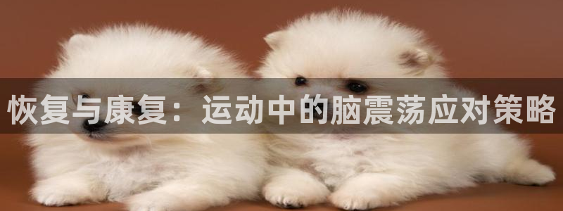 双赢平台体育平台登录入口