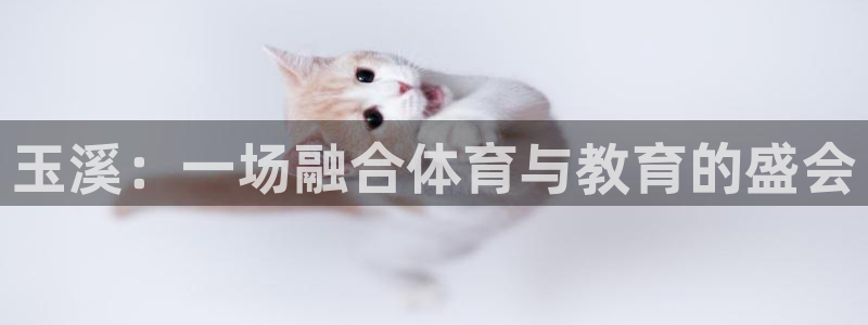 福建双赢平台机电股份公司
