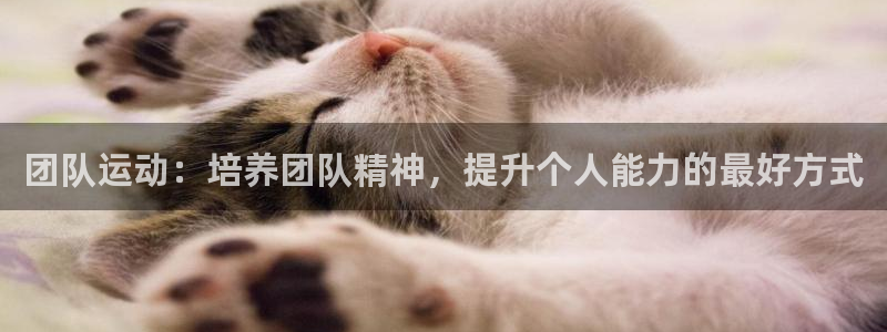 意昂平台主管