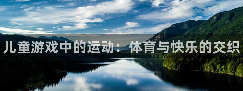 上海双赢平台汽车电子有限公司