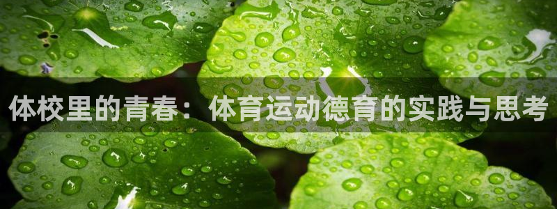 双赢平台平台