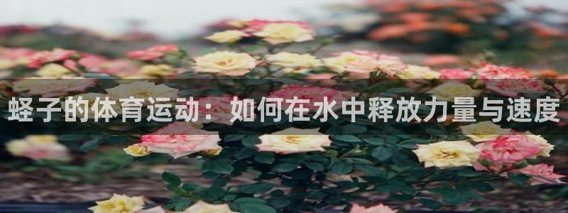 意昂代理