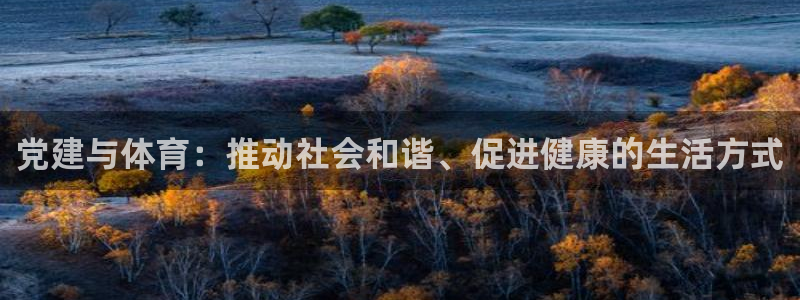 双赢平台集团