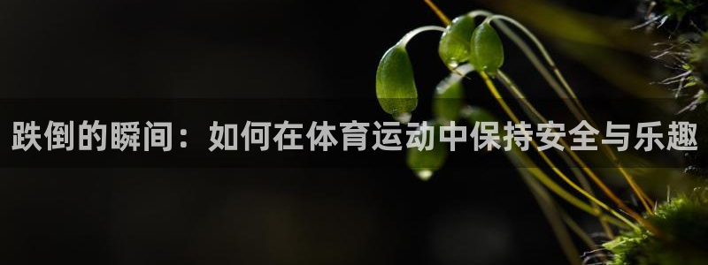 双赢平台2体育登录入口