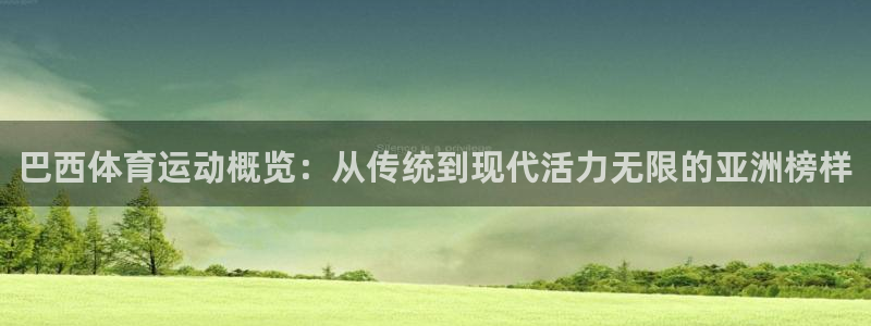双赢平台体育代理