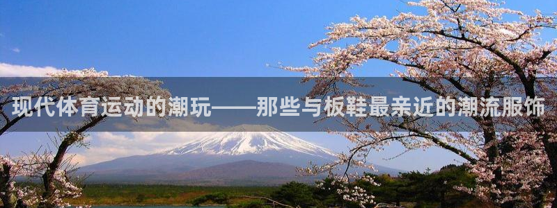 双赢平台平台招商