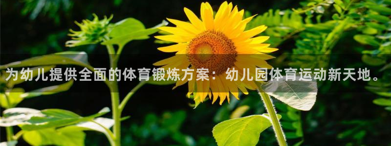 www.双赢平台体育.com