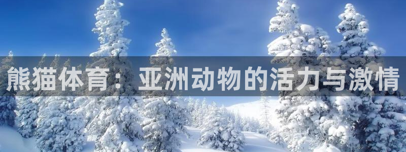 双赢平台体育凯捷平台主管