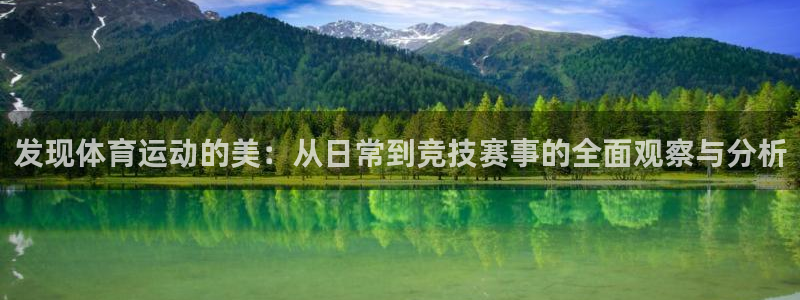 双赢平台体育官网登录