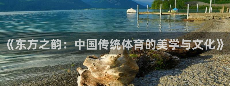 意昂新能源汽车科技有限公司