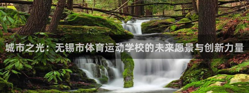 双赢平台平台招商