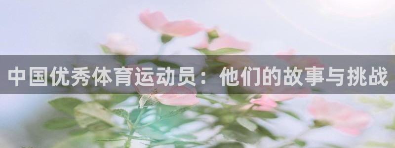 上海双赢平台汽车电子有限公司